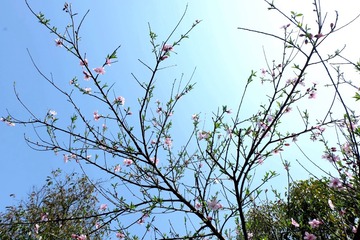 西溪 (11)
