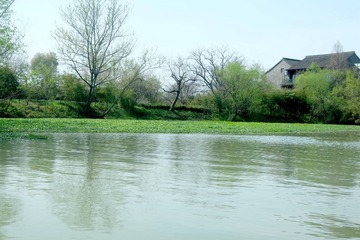 西溪 (29)