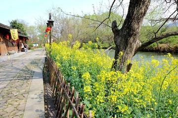 西溪 (48)