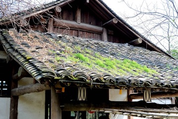 西溪 (60)