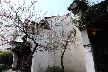西溪 (68)