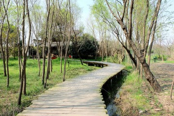 西溪 (79)