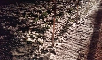 20160131_212327-01