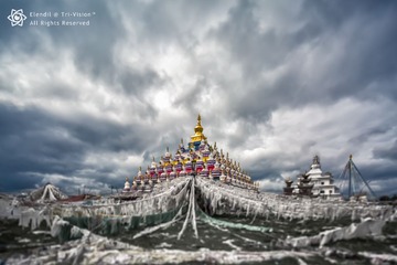 ZJN_0313