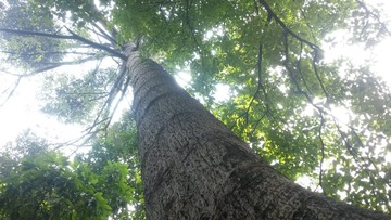 20140529_125713