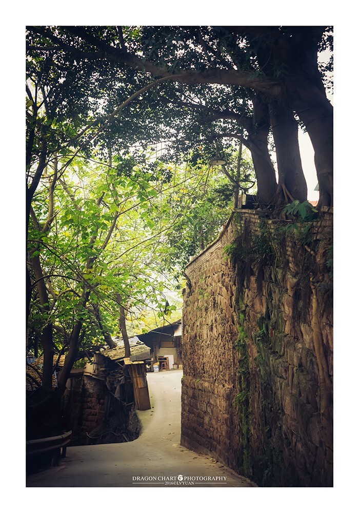 通往村子的路