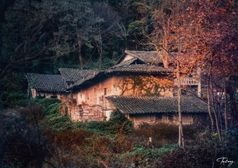 山村