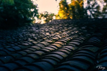 屋顶
