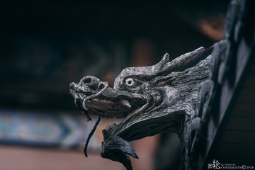 龙头