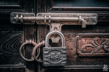 这是我拍的梅花