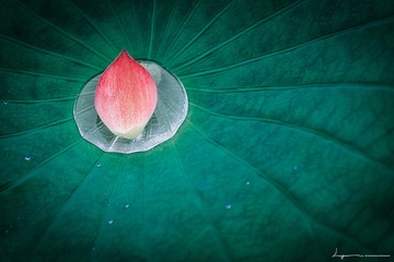 小息