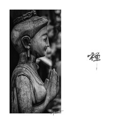 不争是一种慈悲，不闻是一种智慧！