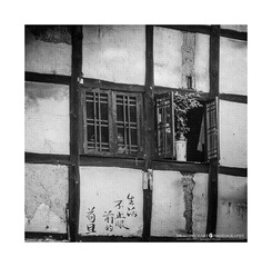 生活不止眼前的苟且