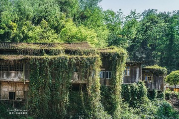山谷里的小木屋