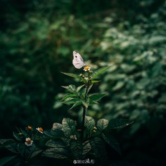 001