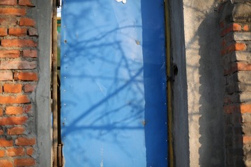 JF3A5797