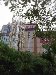 IMG_20131008_065300_1