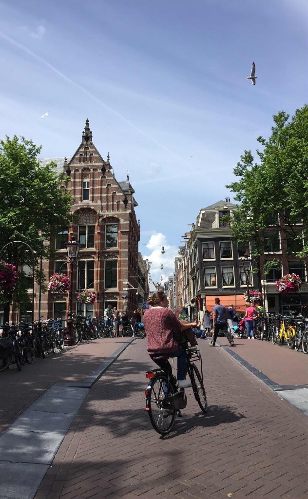 右上角的海鸥。<br />
<br />
荷兰不愧是单车王国。另，他们的单车大多数没有刹车，要刹车往相反的方向蹬。