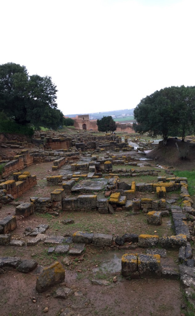 舍拉废墟Nécropole de Chella