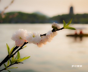 梦幻西湖(小)