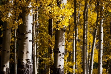 IMG_0047-1