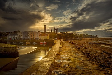 20150512-IMGP5488
