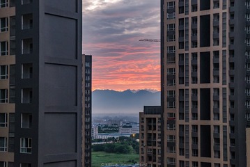 DSCF2021(1)