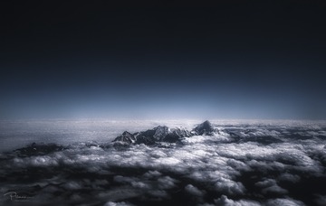 10231