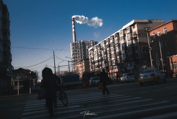2920607
