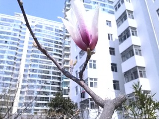 IMG_20150403_115843