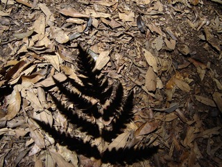 image6