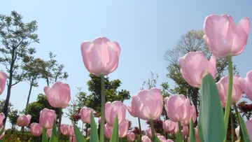 05012