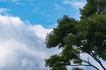 20201105-4