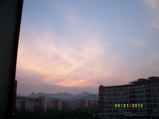 ALIM1228