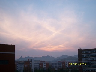 ALIM1229