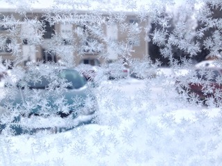 IMG_0177_x