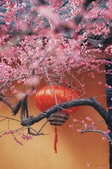 26F900F6-DA7B-420B-8BB0-157612728CA8/L0/001