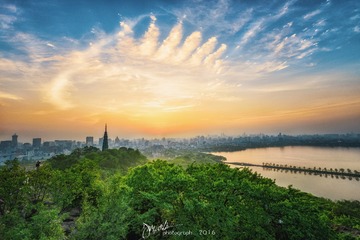 如来神掌