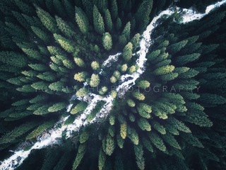DJI_0576