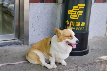 432072