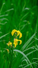 51D79947-74F2-43BC-9C30-AC4B7CE12FF8/L0/001