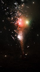1E3B9E39-1F41-4C3A-9DC4-329487E78136/L0/001
