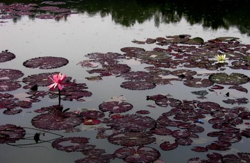 img_0722-1