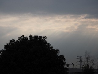 P4160059