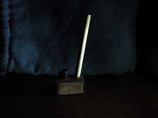 P5080508