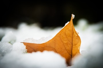 北京2015初雪