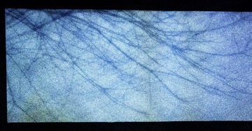 DSC01305-2
