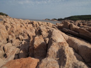 P4250852