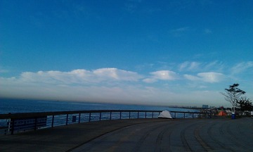 IMAG0323