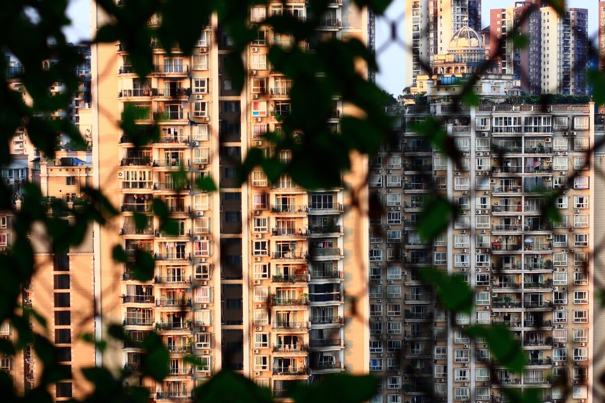 打望